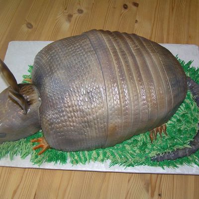Armadillo Cake