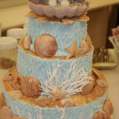 10Th Anniversary Cake For The Missouri State Fair