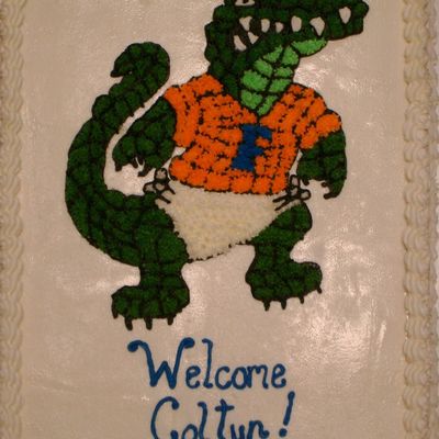 Fla Gator Fan Baby Shower Cake