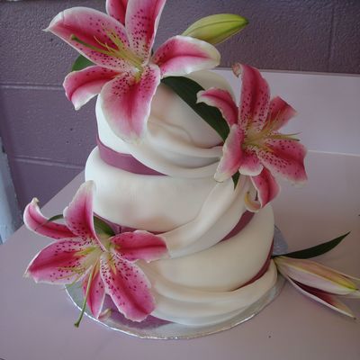 Draped With Stargazers