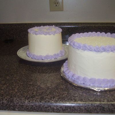 Pair Of Practice Cakes