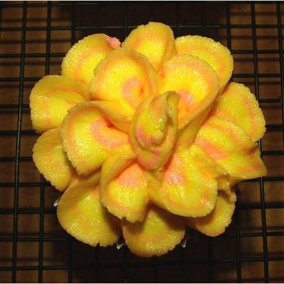 Yellow Sunny Cupcakes