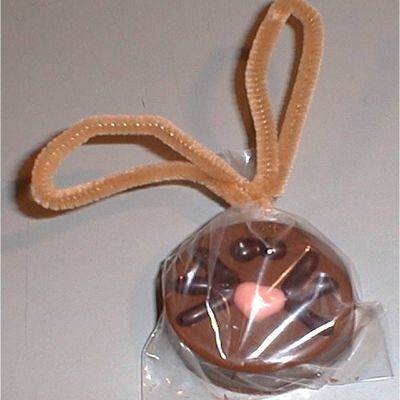 Chocolate Oreo Bunny