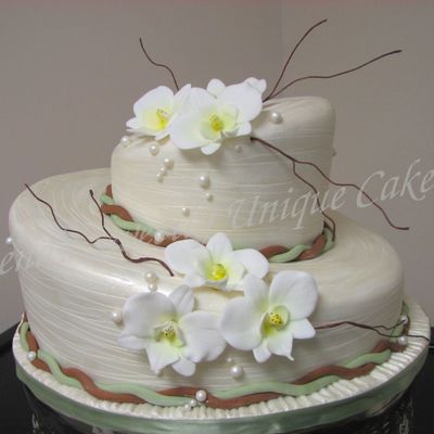 Moth Orchid Shower