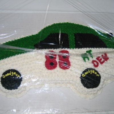 Nascar Dale