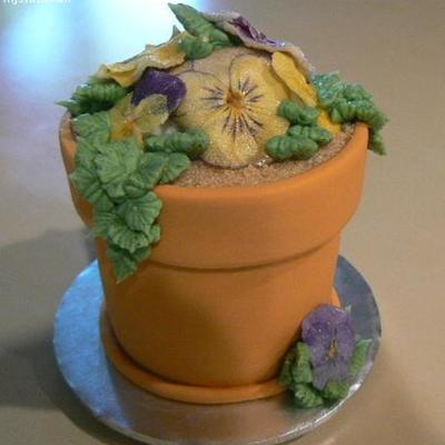 Mother's Day Pansies