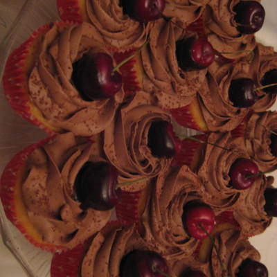 Chocolate Cupcakes
