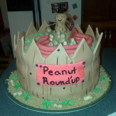 Made This For The National Peanut Festival