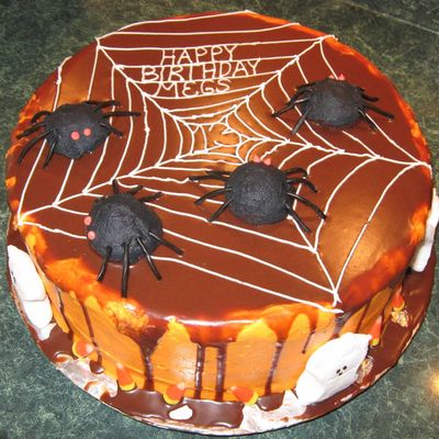 Spider 13Th Birthday