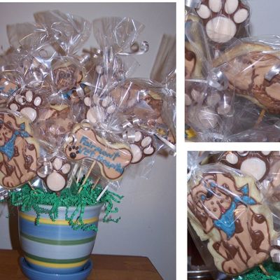 Cookies For Veterinarian Hospital