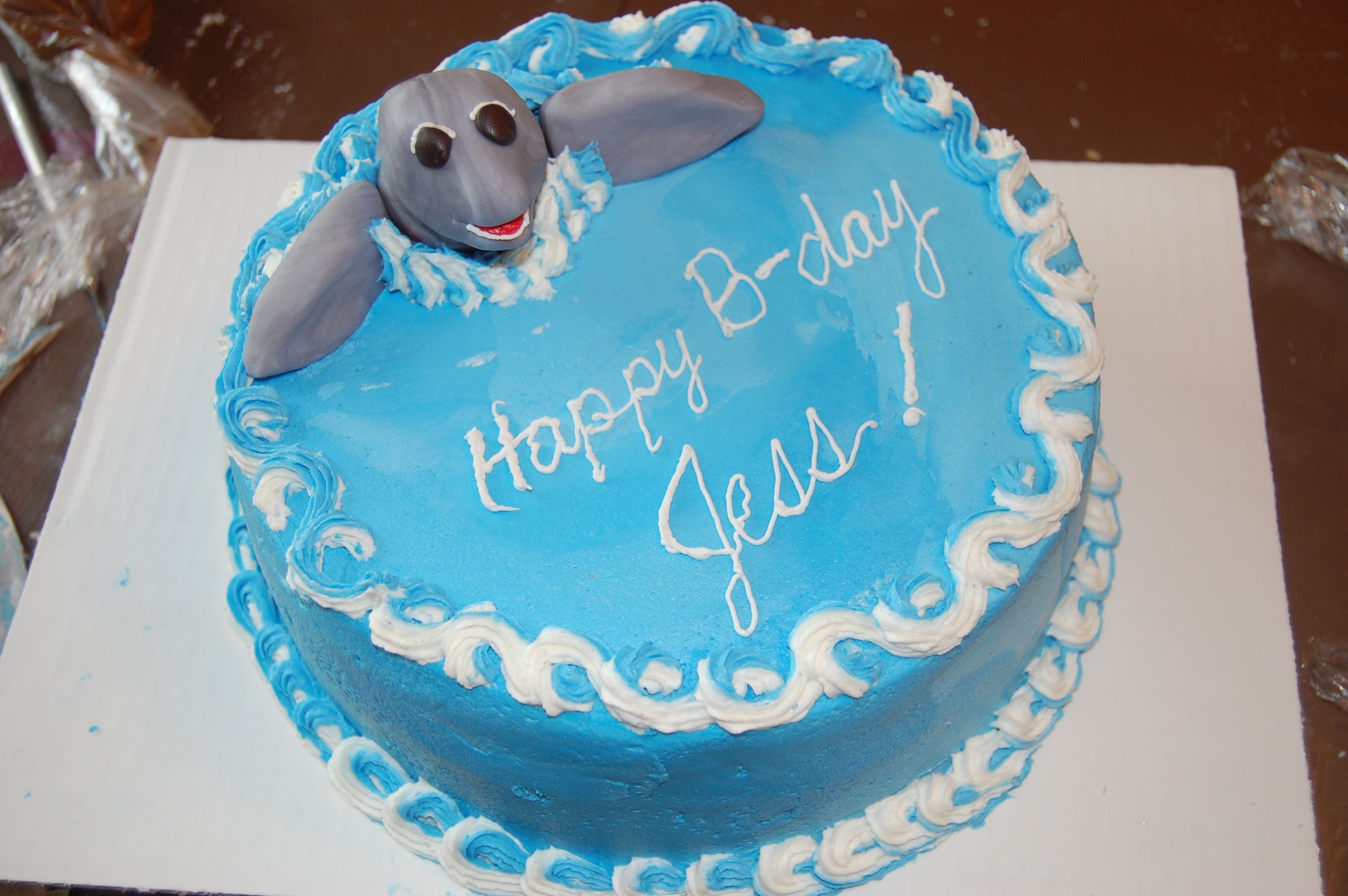Dolphin Cake