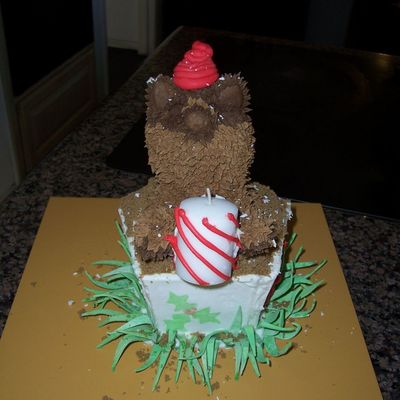 Class Project #1
