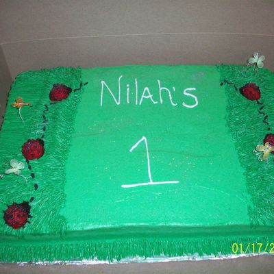 Lady Bug Cake
