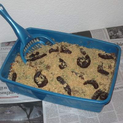 Kitty Litter Cake