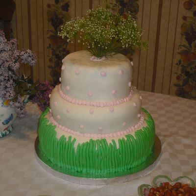Grass Shower Cake
