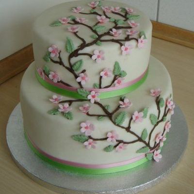 2 Tired Sping Cake