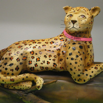 Leopard On A Tree Branch