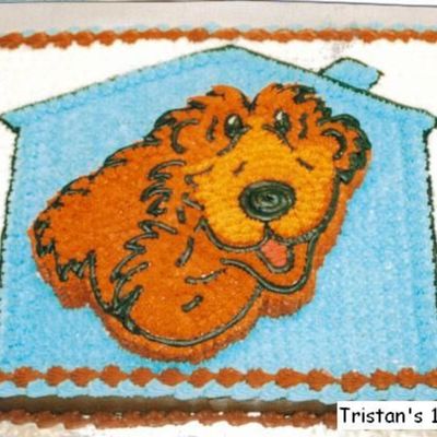 Bear In The Big Blue House