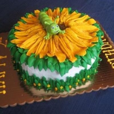 Side View Of Hermie Cake