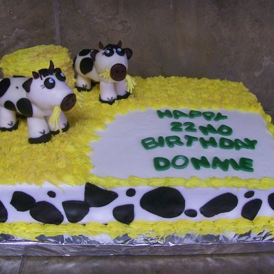 Cow Cake
