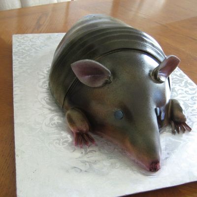 Red Velvet Armadillo