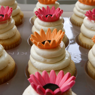 Gerbera Daisy Cupcakes