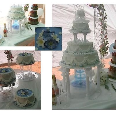 Wilton Swan And Strawberry Ganache