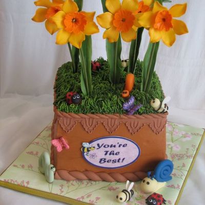 Daffodils Flower Pot