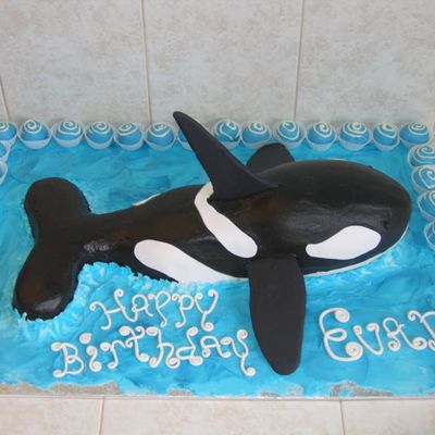 Orca - Killer Whale