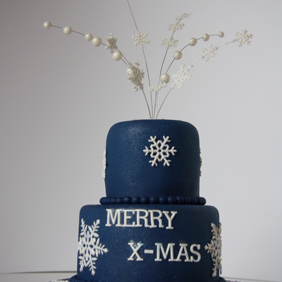 Merry X-Mas To You All!!