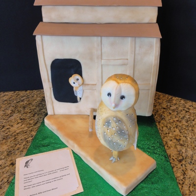 Barn Owl Box Cake