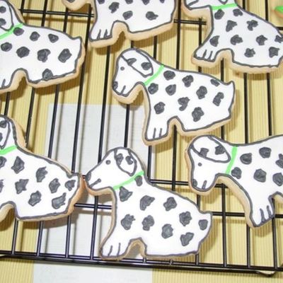 Dalmations