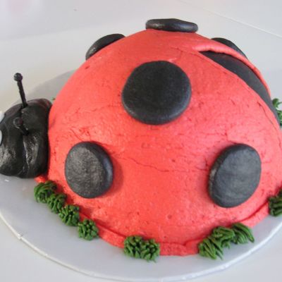 Ladybug Smash Cake