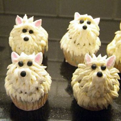 Hello Cupcake Terriers