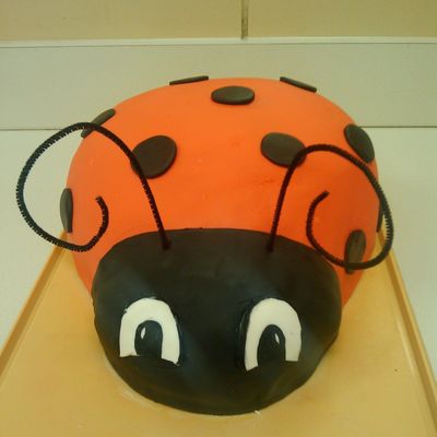 Ladybug