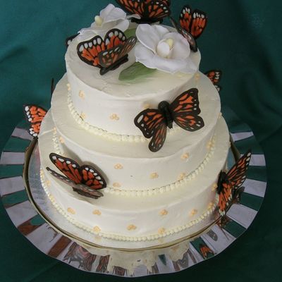 Butterflies For Donna