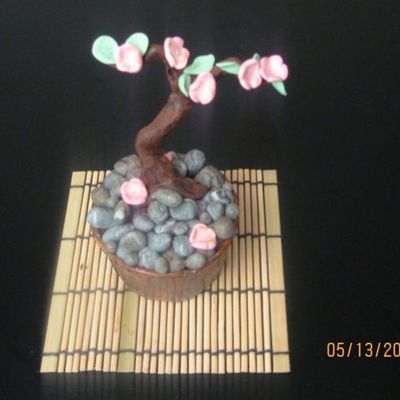 Bonsai Cupcake