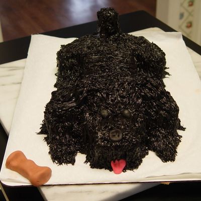 Shih Tzu Cake
