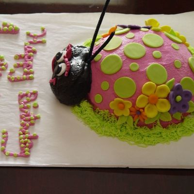 Lady Bug Cake