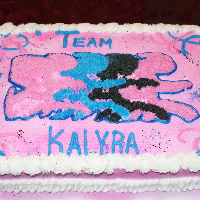 Cycling Cake - Race Across America (Raam) Team Kalyra