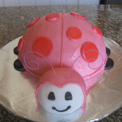 Pink Lady Bug
