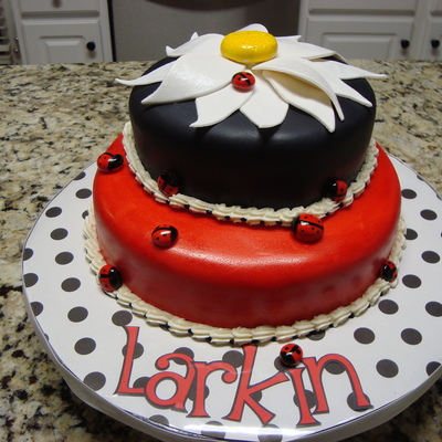 Red And Black Ladybug Cake