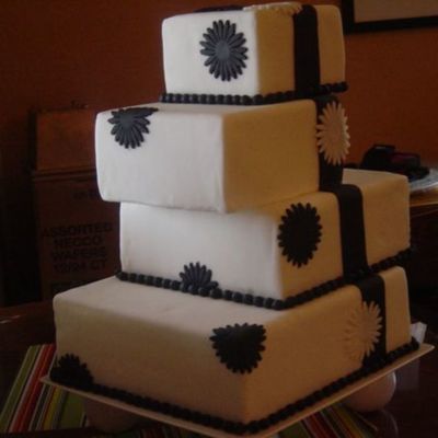 Black & White Defying Gravity