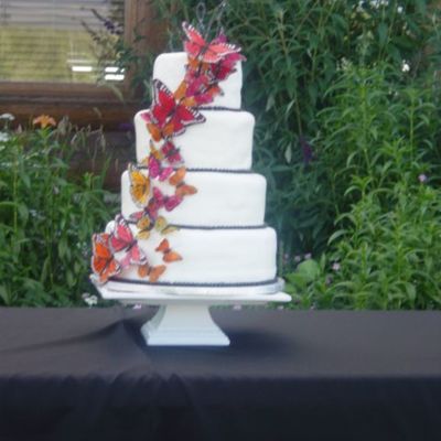 Variation Of A Ms Cake