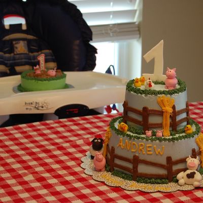 1St Birthday Farm Theme