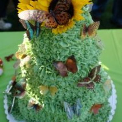 Stacked Butterfly Cake