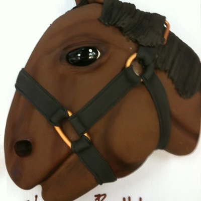 Horses Head