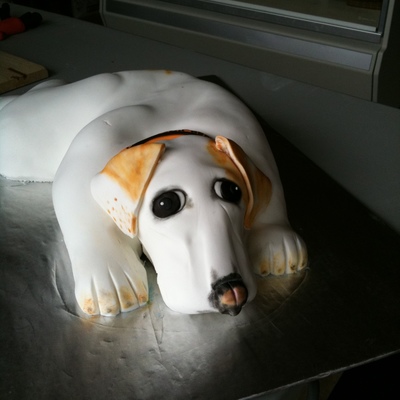 Dog Grooms Cake
