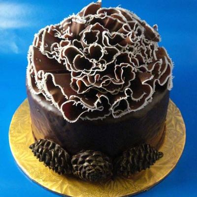 An Homage To Shirleyw!!