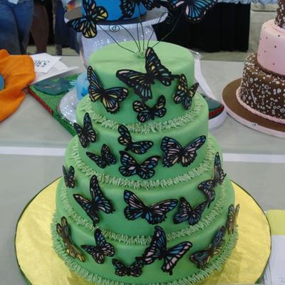 Ossas 2007 Butterfly Cake